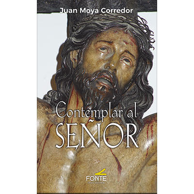 Contemplar al Señor